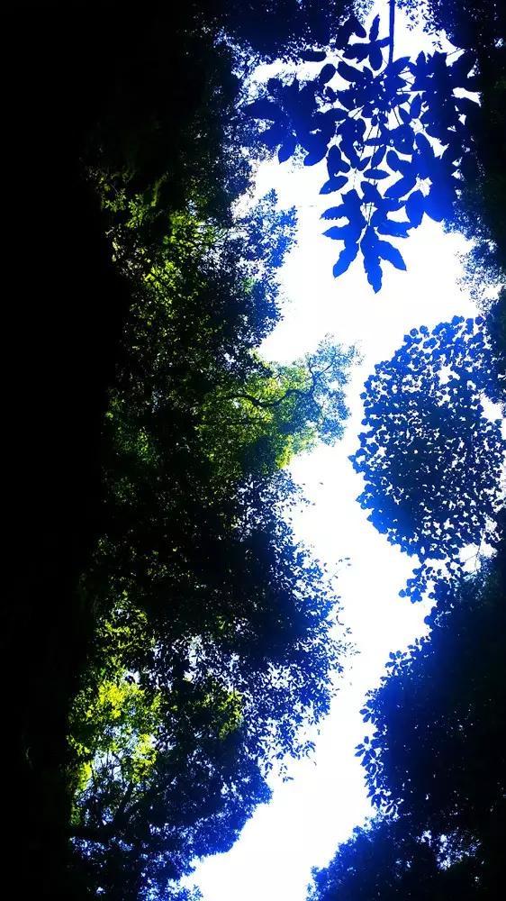 奢华豪宅找不同