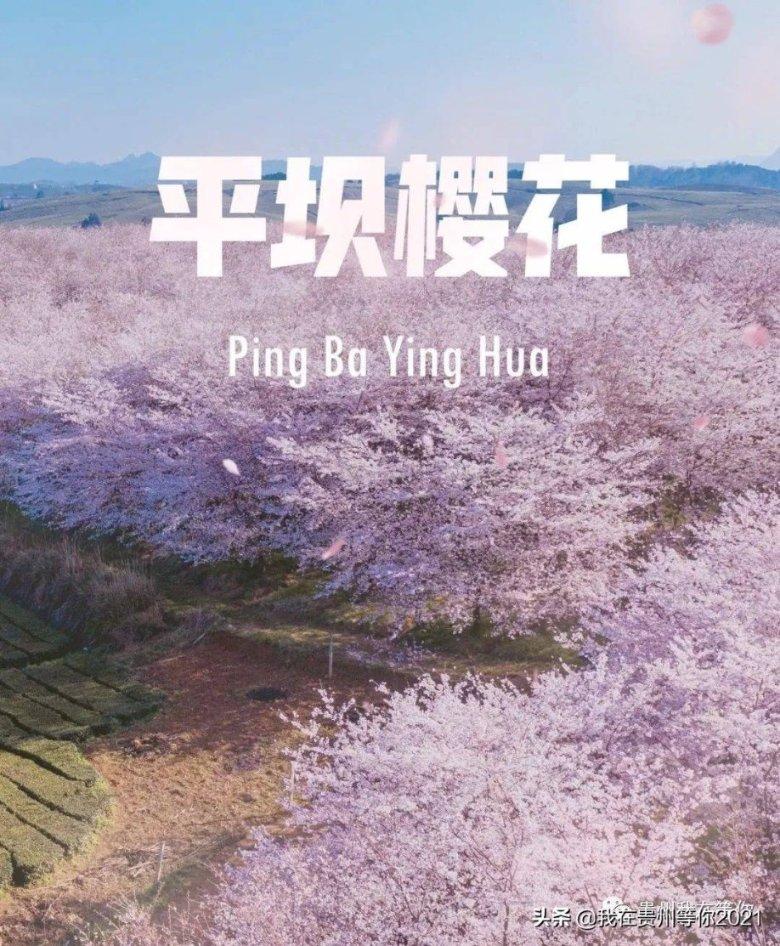 一路顺风